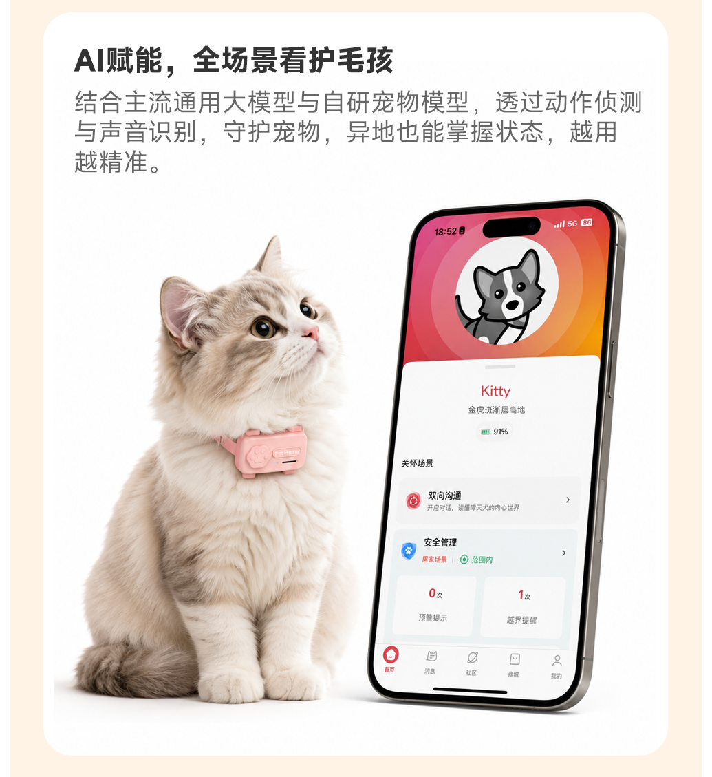 图片 5