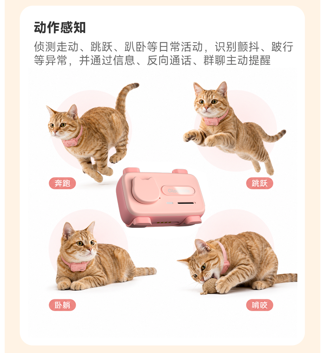图片 6