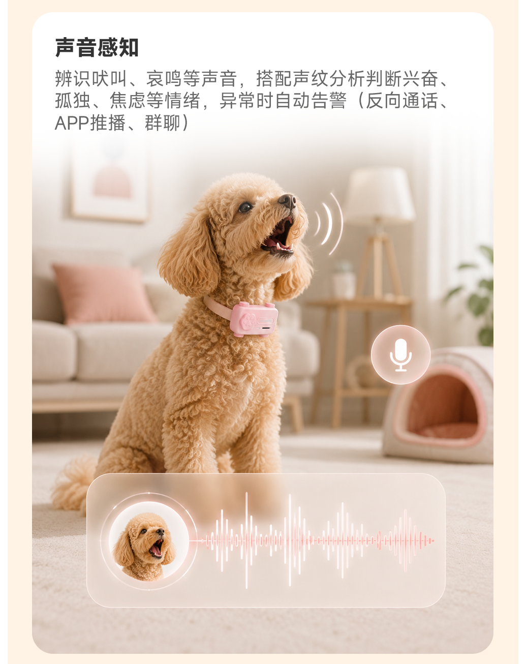 图片 7
