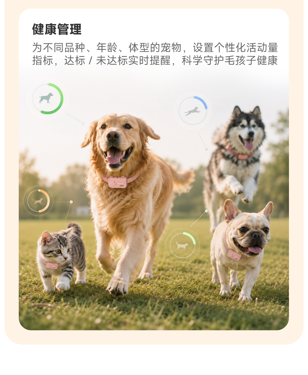 图片 8