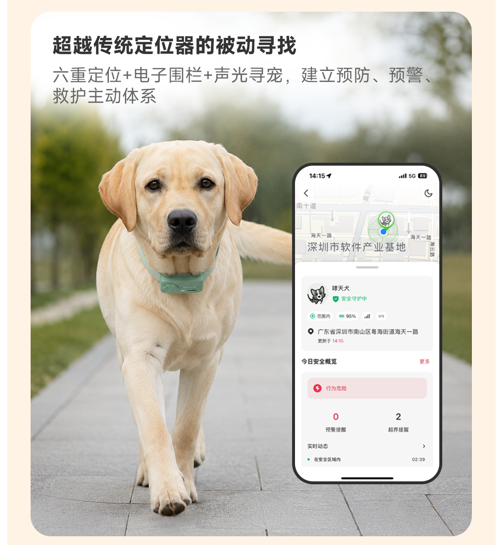 图片 10