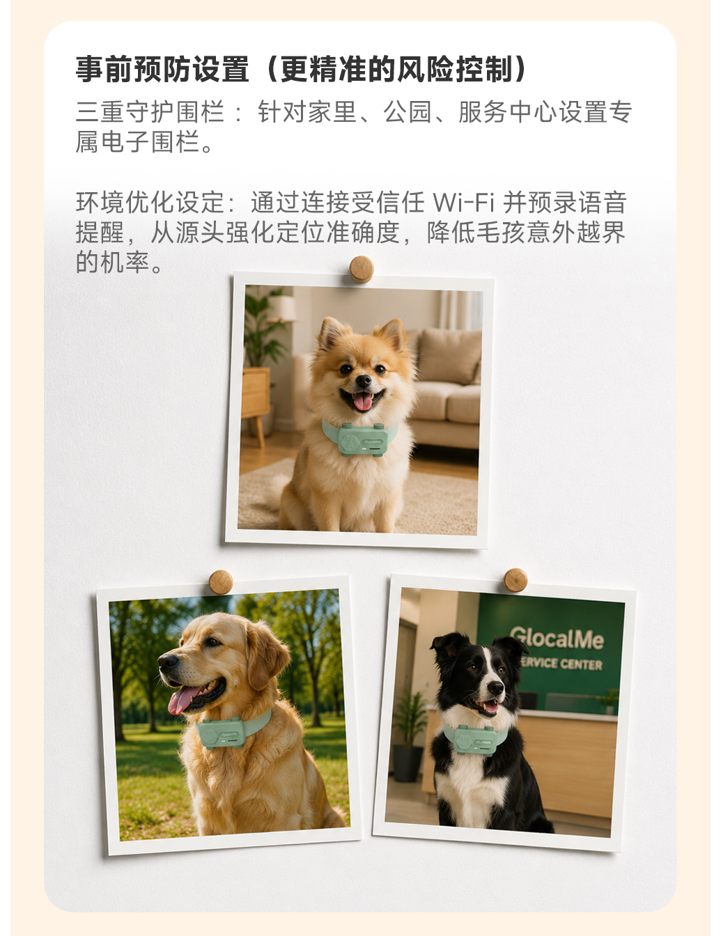 图片 11