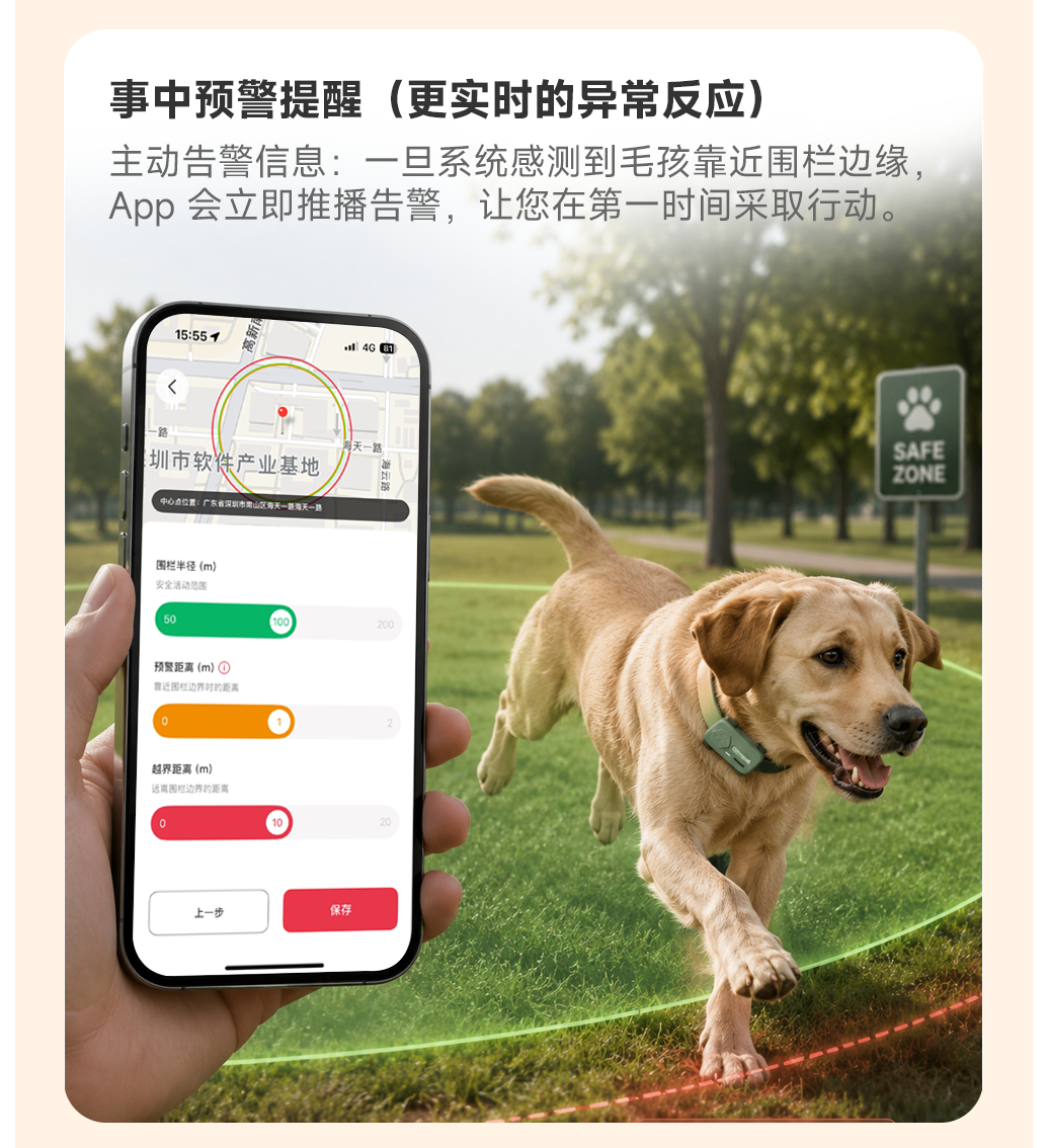 图片 12