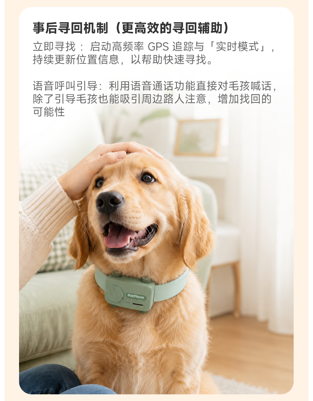 图片 13