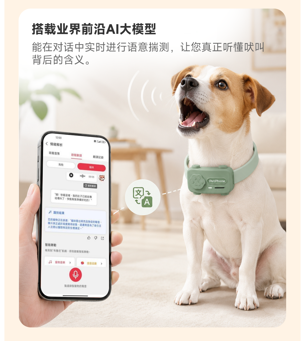图片 16