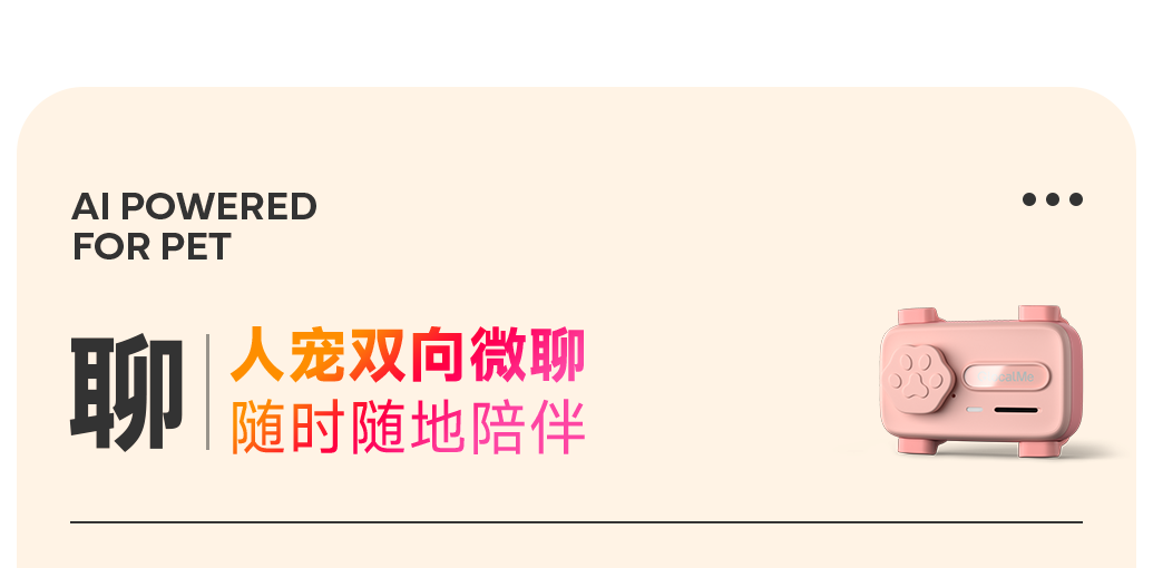 图片 20