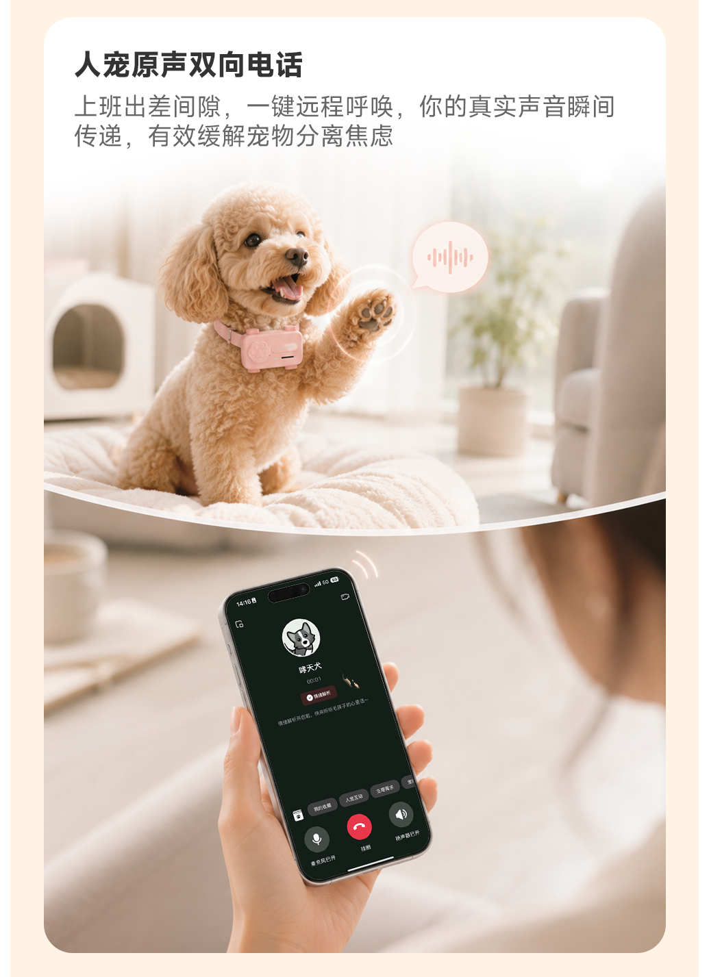 图片 22